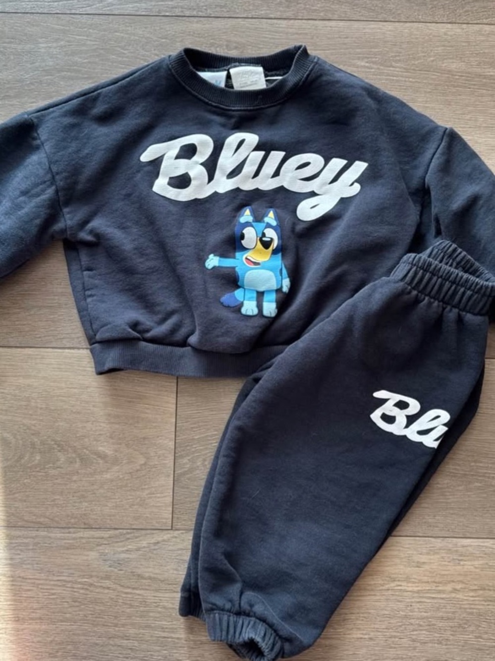 Zara Bluey Sweatshirt & Jogger Set -
